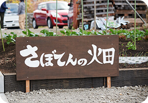 横浜市栄区のデイサービス さぼてんの花 ギャラリー